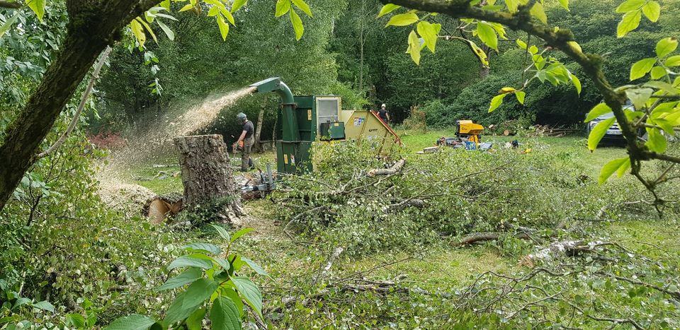 Gartenarbeit / Hecken schneiden / Baumpflege / Baumfällung in Erwitte