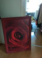 Bild Rose Maße 70 x 90 x 1 cm Hessen - Taunusstein Vorschau