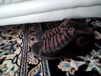Paul Green Schuhe echt Veloursleder schwarz Gr 4,5 Niedersachsen - Damme Vorschau