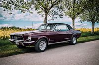 Ford Mustang Oldtimer mieten zum selber Fahren. Tolles Geschenk! Schleswig-Holstein - Wees Vorschau