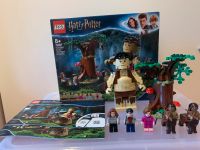 Lego 75967 Harry Potter verbotener Wald/ Begegnung mit Umbridge Dortmund - Innenstadt-West Vorschau