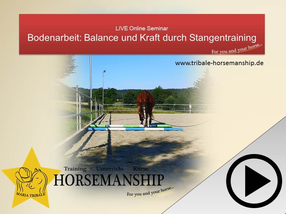 Online-Seminare rund ums Pferdetraining in Lichtenfels
