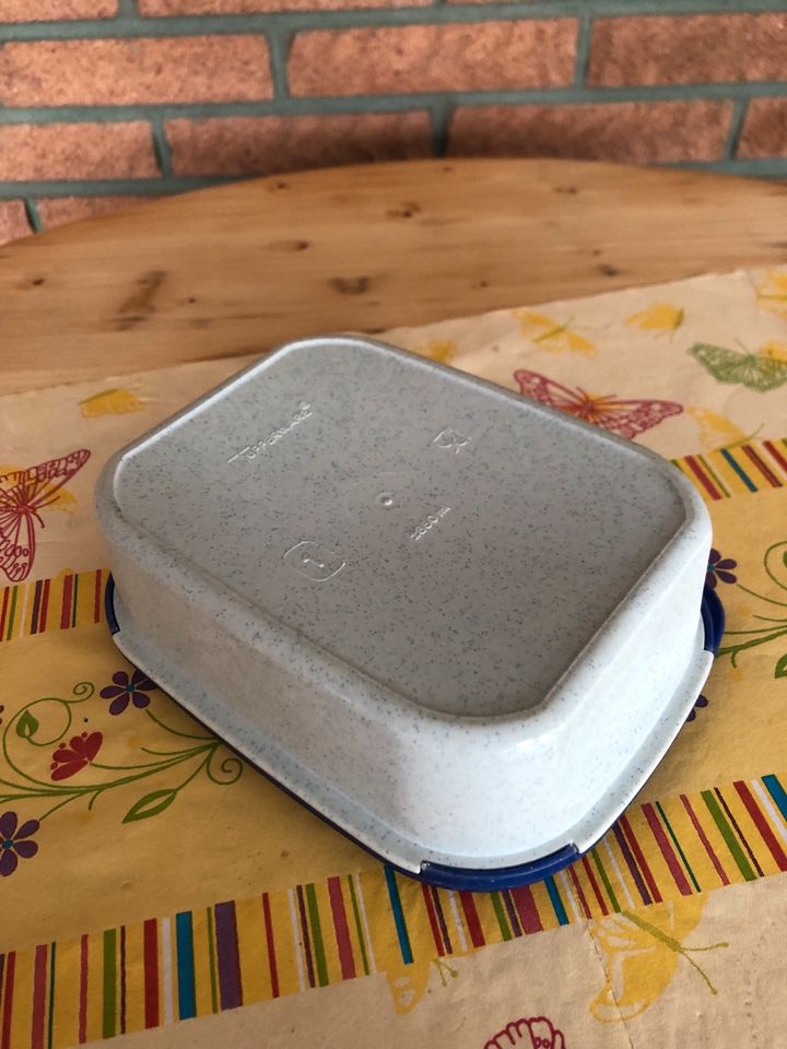 Tupperware Dosen und Behälter in Recke