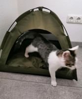 Katzenzelt Höhle Zelt für Katzen oder kleine Hunde m. Kissen Bayern - Landau a d Isar Vorschau
