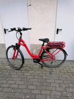 E Bike Damen Brandenburg - Forst (Lausitz) Vorschau