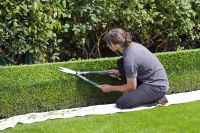 Gartenarbeit Hecke schneiden Heckenschnitt Gärtner Sachsen-Anhalt - Ilsenburg (Harz) Vorschau