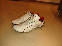 BMW motorsport puma Schuhe Hessen - Fulda Vorschau