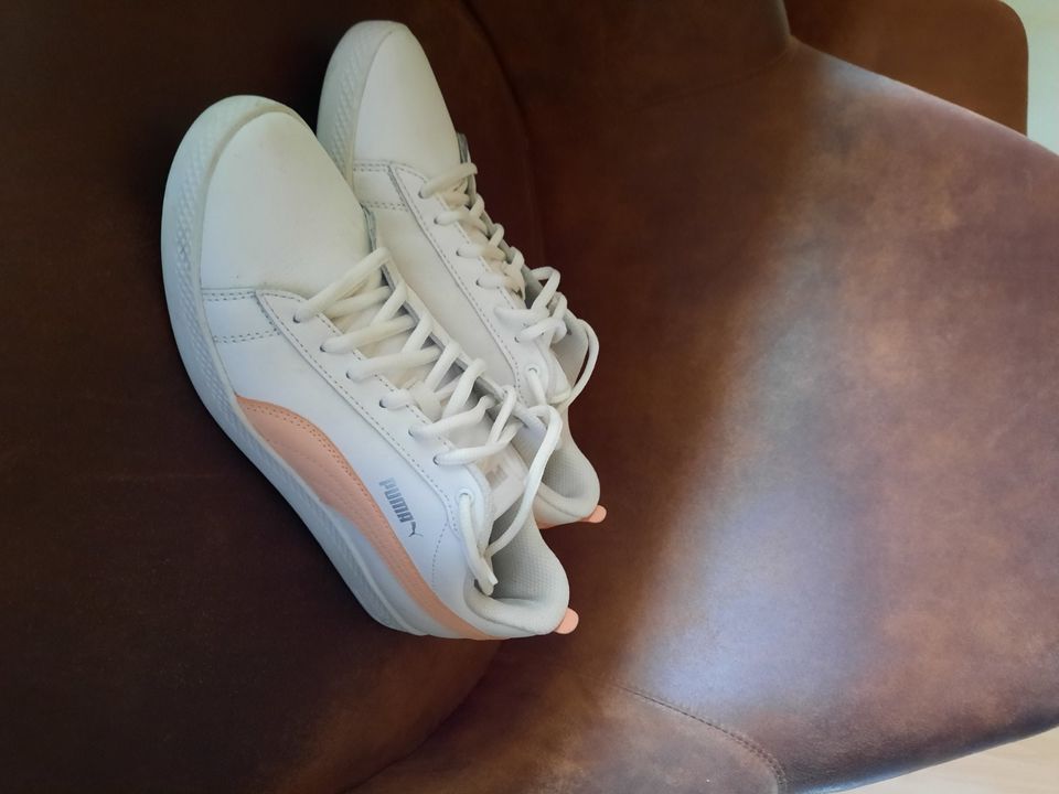 Puma Sneaker Gr. 38 in Schorndorf