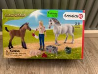 Schleich 42486 Farm World Tierärztin Hessen - Eichenzell Vorschau