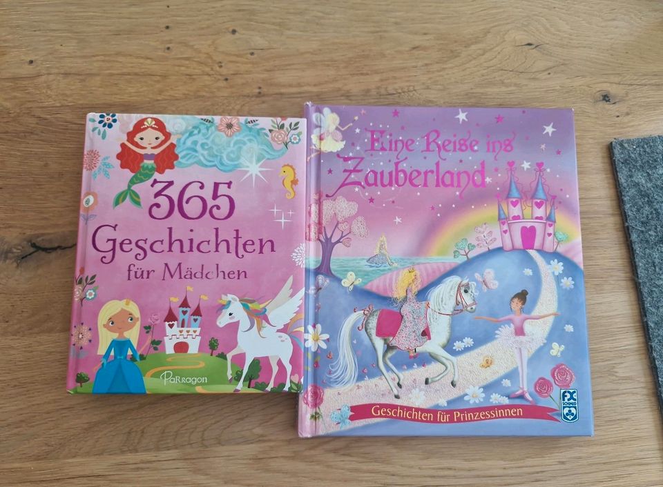 Verschiedene Kinderbücher Elfen Prinzessinnen Pferde Disney in München
