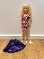 Mattel Barbie mit Zubehör Hessen - Kassel Vorschau