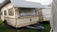 Wohnwagen Tabbert Comtesse am Natur-Camping am See Nordrhein-Westfalen - Mönchengladbach Vorschau