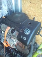 VW Polo 6N1 1,4 Motor 60 PS, Bj. 98 orig.130tkm inkl. Anbauteile Hessen - Kefenrod Vorschau