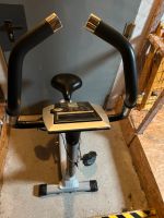 Ergometer mit Computer von Stamm Bodyfit Herzogtum Lauenburg - Schwarzenbek Vorschau