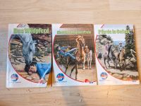 Pony club Taschenbücher Niedersachsen - Beedenbostel Vorschau