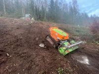 Wildwuchs Rückegassen Baufeld Räumung Holzpflege Brachland Thüringen - Weiden b Weimar Thür Vorschau