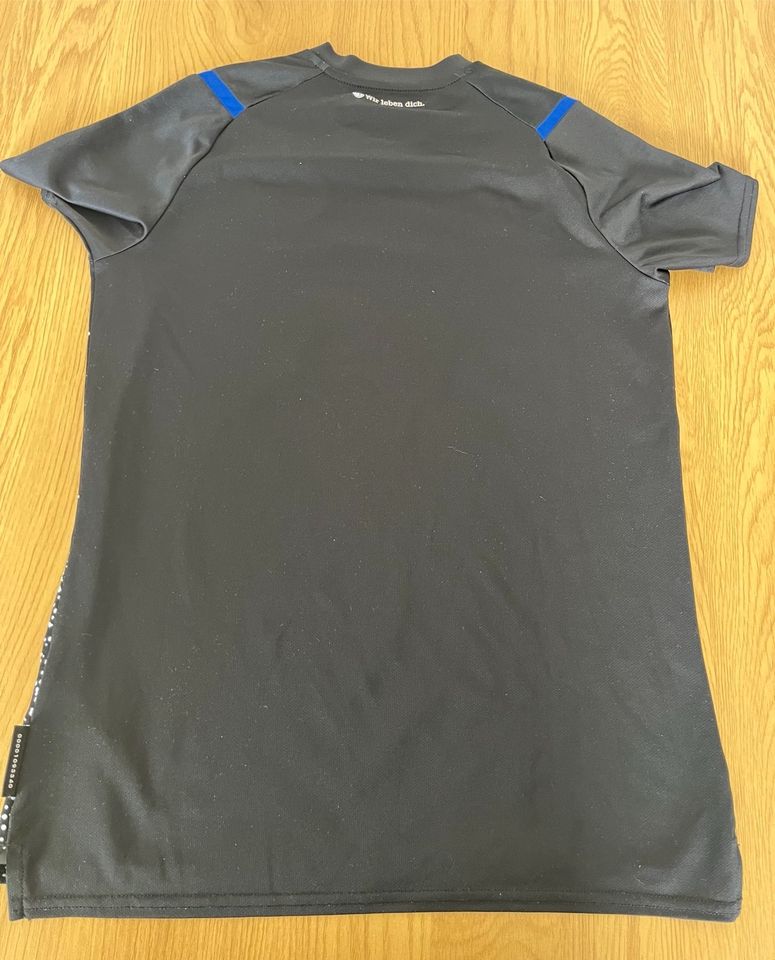 Schalke 04 Trikot in Emsbüren