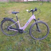 E-bike,fast neu,210km gefahren. Hessen - Frankenberg (Eder) Vorschau