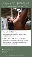 Entspannung für Pferd & Mensch - Massagekurs & Autogenes Training Niedersachsen - Schüttorf Vorschau