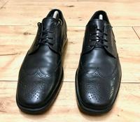 Tod's Schnürer Gr 11 - schwarz Kr. Passau - Passau Vorschau