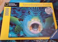 Süßlippenfisch Puzzle 1000 Teile, national Geographic //Fisch Bayern - Grettstadt Vorschau