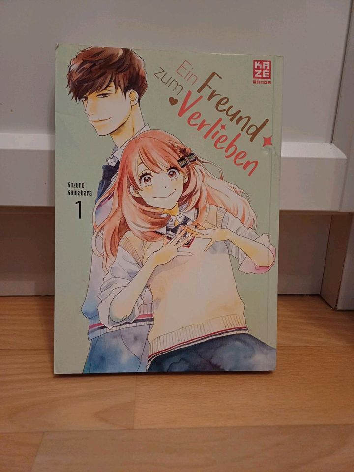 Manga Ein Freund zum Verlieben in Spremberg