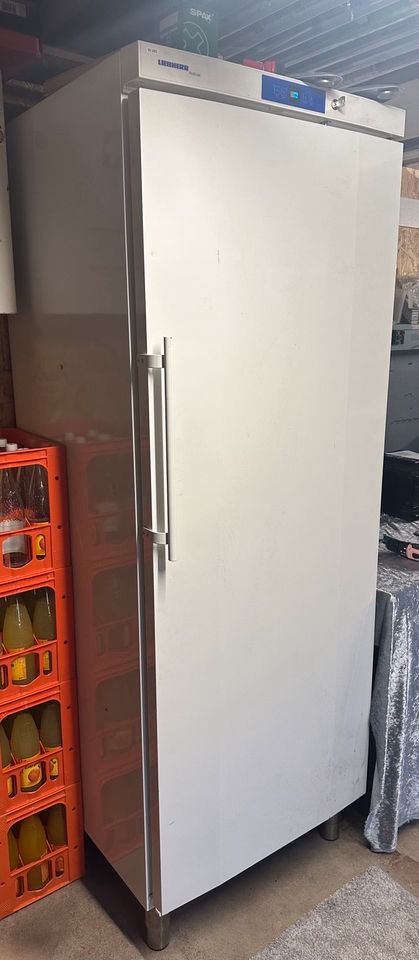Liebherr ProfilLine GKv 6410 Industrie Kühlschrank in Eggebek