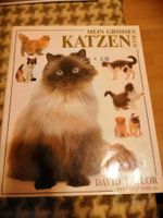 Mein großes Katzenbuch Bayern - Kulmbach Vorschau