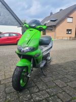 Gilera Runner SP50 C36 Nordrhein-Westfalen - Elsdorf Vorschau