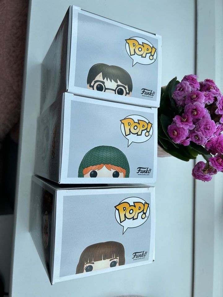 Harry Potter Funko Pop's Ron, Harry, Hermine + Quidditch Regeln in Rheinberg