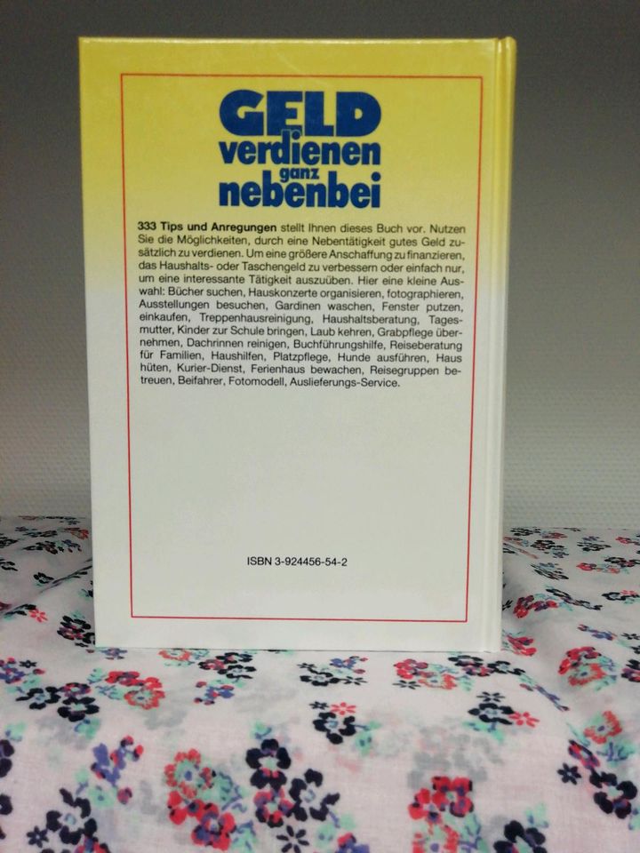 Geld verdienen ganz nebenbei 333 Tips und Ideen von Helga Thamm u in Flintbek
