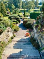 Gärtner Privat, Dienstleistungen für Haus & Garten kleinanzeigen.de