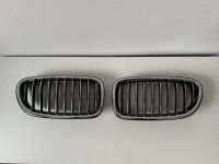 Original BMW 5er F10 F11 Nieren Kühlergrill neuwertig Niedersachsen - Hanstedt Kr Uelzen Vorschau