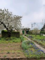Pachtgarten in Apolda zu verkaufen Thüringen - Weimar Vorschau