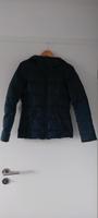 winterjacke gr 34 Bayern - Lindau Vorschau