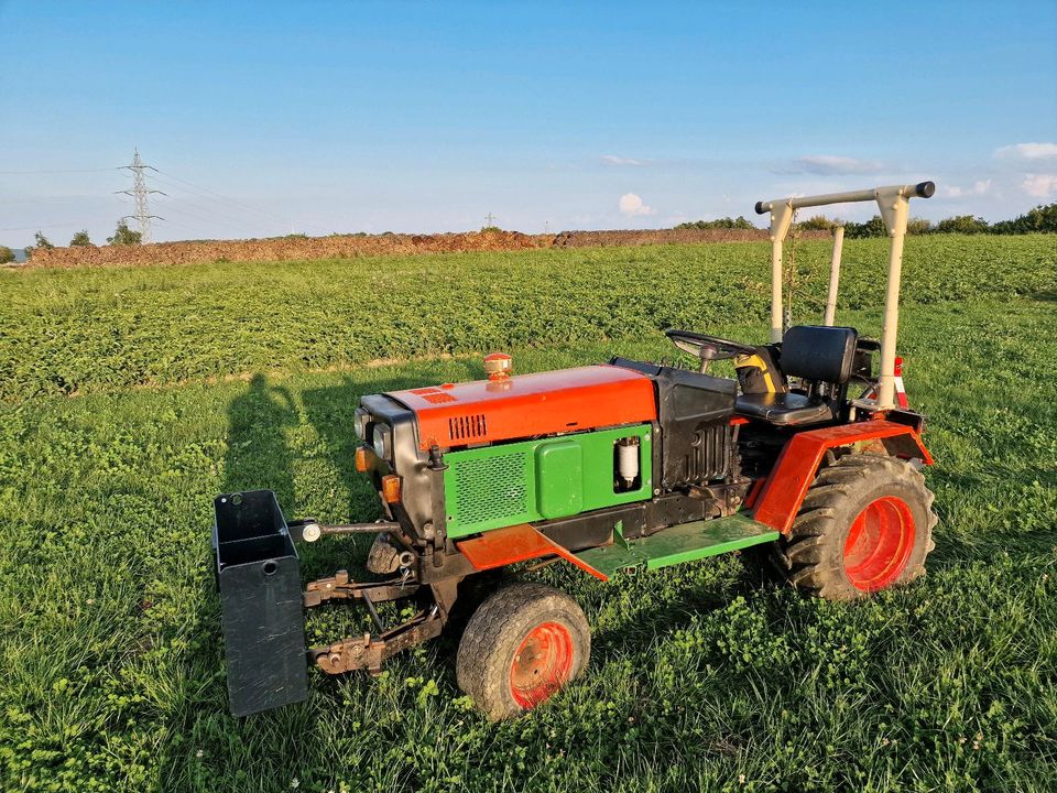 Agria 6900 35 PS Kleintraktor Schmalspur Kein Holder Kubota Iseki in Weil im Schönbuch