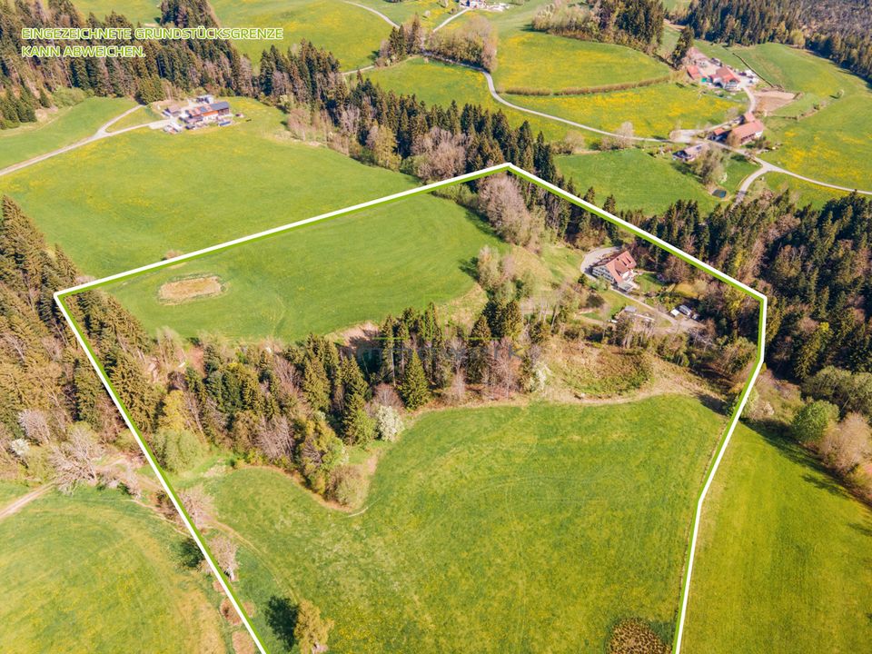 Kernsaniertes Anwesen mit Möglichkeiten zum Wohnen und für Gewerbe - 6,2 ha Land - Stall möglich in Scheidegg