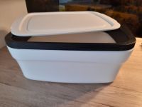 Tupperware BreadSmart Large Brotkasten Bayern - Schillingsfürst Vorschau