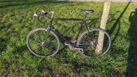 Rennrad Größe 60/XL sucht einen neuen Besitzer Baden-Württemberg - Karlsruhe Vorschau