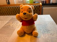 Winnie Pooh Kuscheltier 28 cm Sachsen - Bernsbach  Vorschau