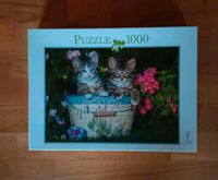 NEU Puzzle 1.000 Teile Katzen in OVP Bielefeld - Dornberg Vorschau