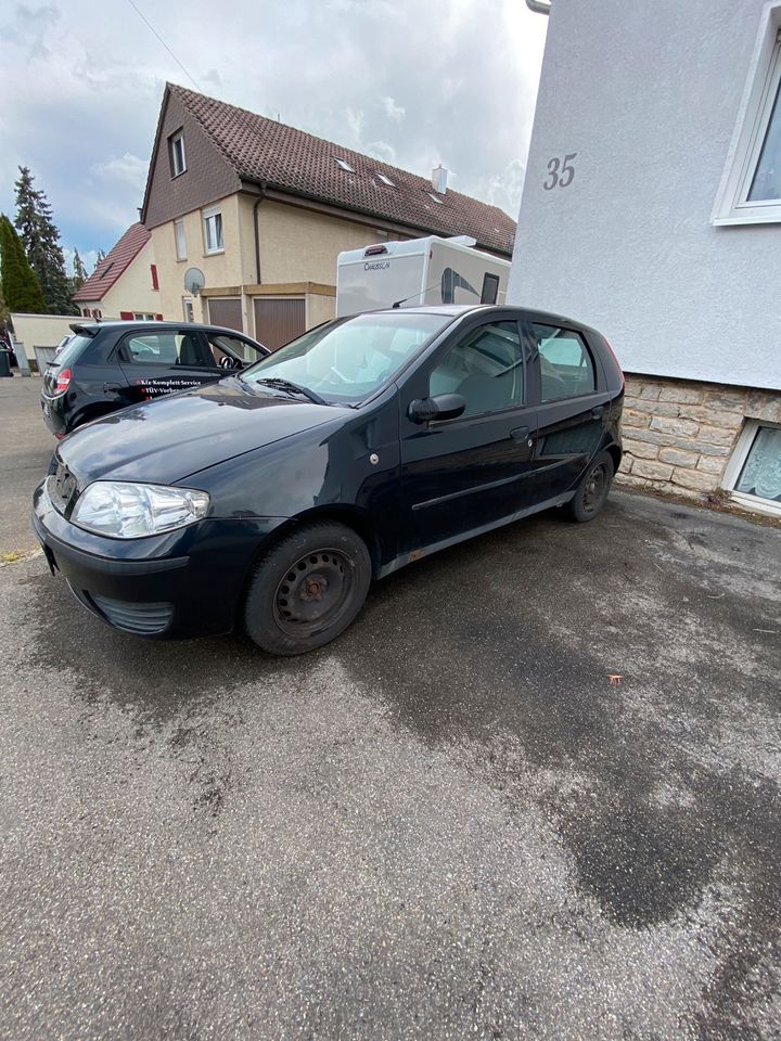 Fiat Punto in Magstadt