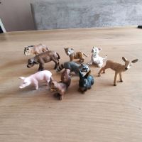 Diverse Schleich-Tiere Nordrhein-Westfalen - Gelsenkirchen Vorschau