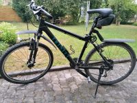 Damen Trinity MTB 26 Zoll Baden-Württemberg - Ehningen Vorschau