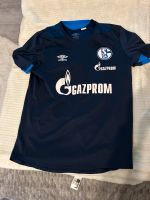 Schalke  Trainingshirt Sachsen-Anhalt - Schkopau Vorschau
