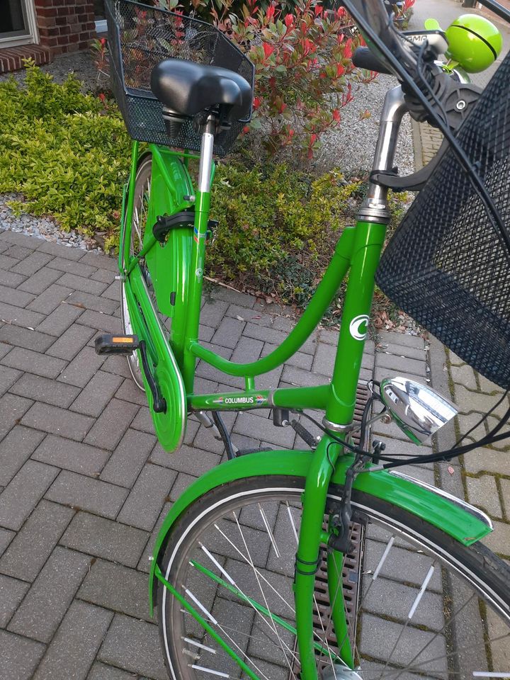 Hollandrad 28" 7 Gang Columbus Schulfahrrad in Duisburg