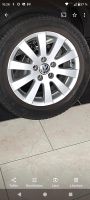 VW original Felgen mit Sommer Reifen Nordrhein-Westfalen - Detmold Vorschau