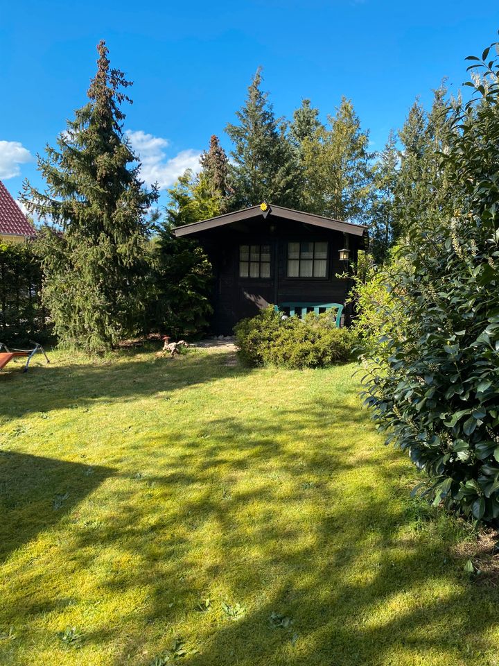 Märchenhaftes Grundstück mit einem wunderschönen Ferienhaus in Sassenburg