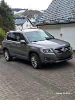 TIGUAN 2010 AUTOMATIK Hessen - Willingen (Upland) Vorschau