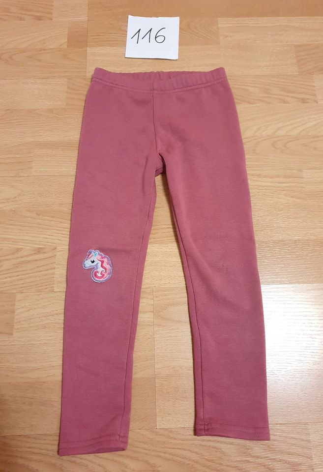 Hosen Leggings Jeans Mädchen 110 - 116 Kleidung in Graben-Neudorf